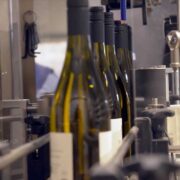 ARD_plusminus_Weinbau_Beitragsbild