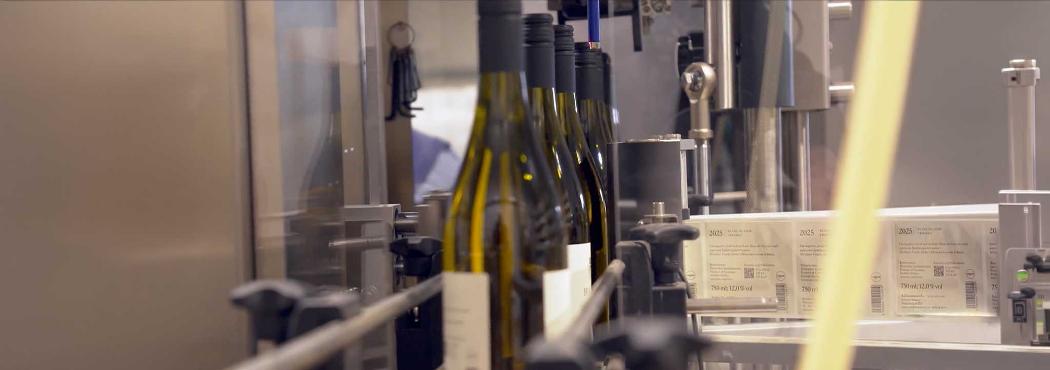ARD | Plusminus | Weinbau in der Krise: Chancen durch ...